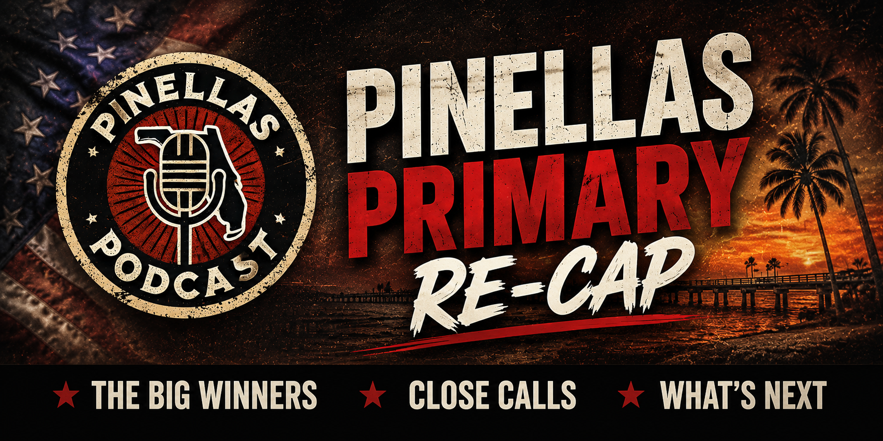 Pinellas WILD Primary Results